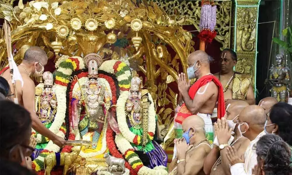 Lord Malayappa Swamy on Kalpavruksha Vahanam on the 4th day of Navaratri Brahmotsavams on Monday