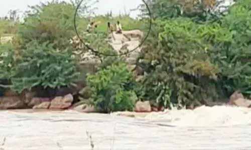 Four fishermen stranded in Manjeera river in Medak