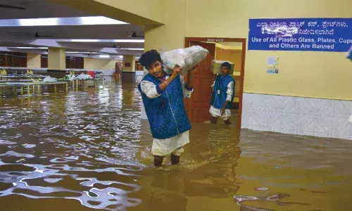 Heavy rains flood low-lying areas, uproot trees in Bengaluru