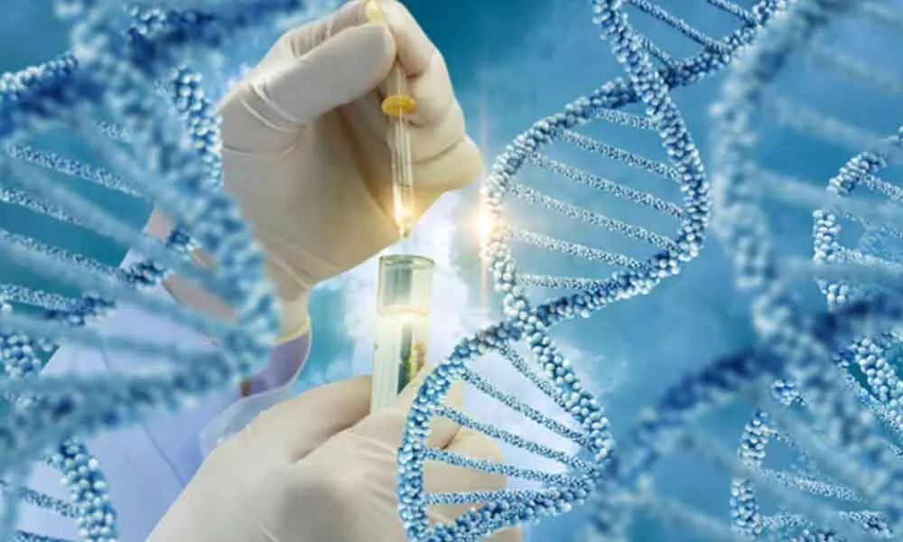 Importance of Gene Testing in Hereditary Cancers
