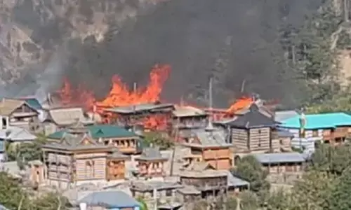 Seven houses gutted in Kinnaur fire