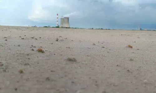 Ash pond located in Muthukur mandal