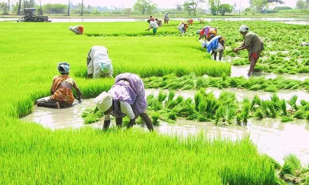 Farmers register kharif crops they are to sell