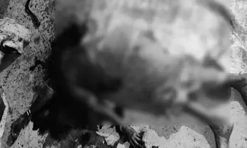 Man beheads mother, flees with severed head in Nagarkurnool