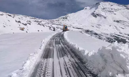 Coronavirus gives fragile Rohtang Pass recovery time