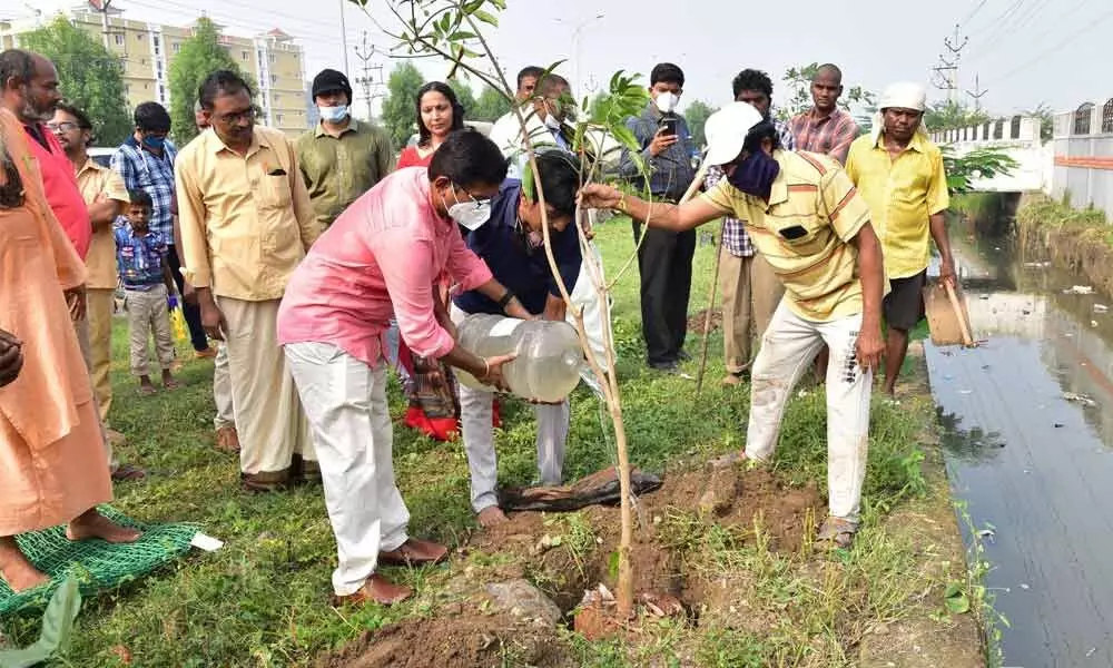 Joint Collector AS Dinesh Kumar planting a sapling at Amma Mahaprastanam in Guntur on Sunday.