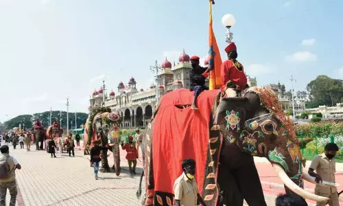Mysuru royal scion keeps tradition alive amidst Covid fear