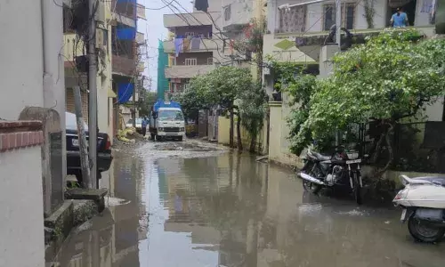 Health hazards looming large on Adharsh Colony