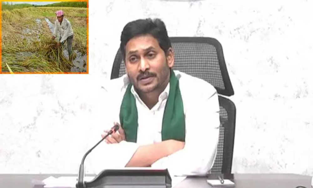 YS Jagan