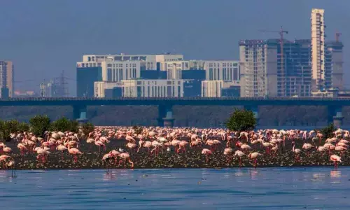 Channelling the power of youth