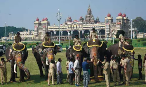Pooja being performed to elephants Abhimanyu and others at Mysuru Palace on Wednesday before they were sent to their forest abodes