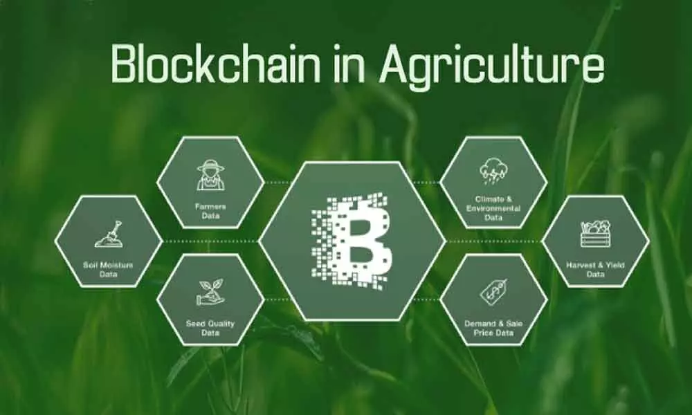 University of Hyderabad to use blockchain tech for agri solutions