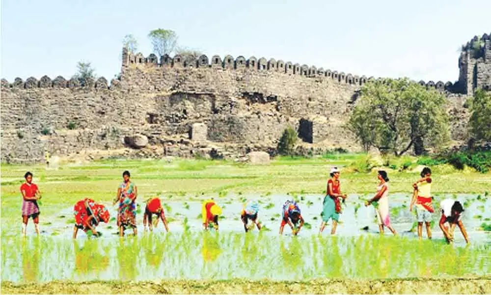 7 yrs on, fort farmers await compensation