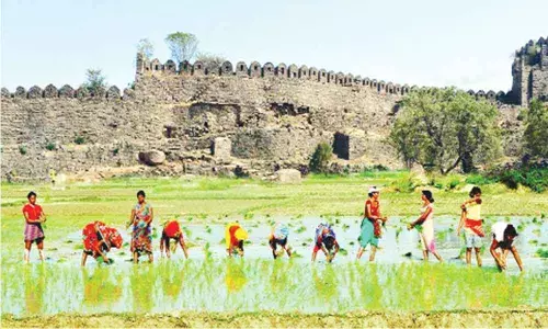 7 yrs on, fort farmers await compensation