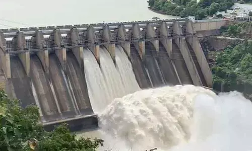 Green tribunal halts RLIP