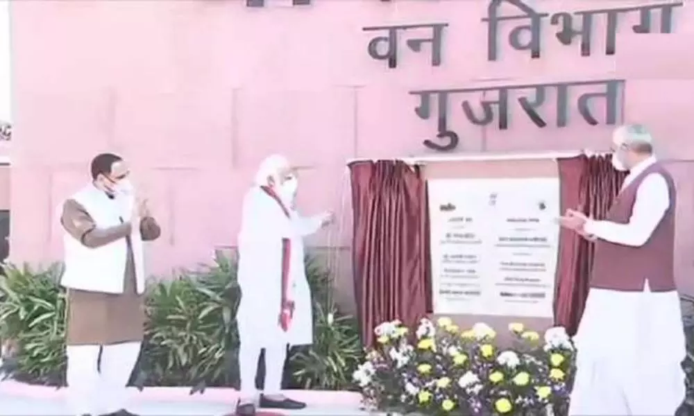 All you need to know about Gujarats nutrition park Modi inaugurated