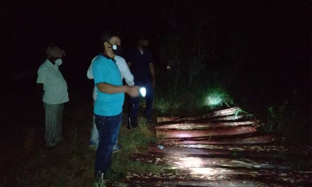 46 red sanders logs recovered, four smugglers arrested