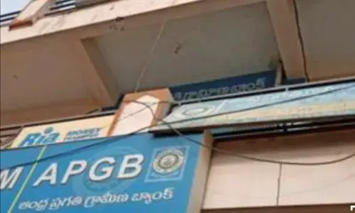 Andhra Pragathi Grameena Bank