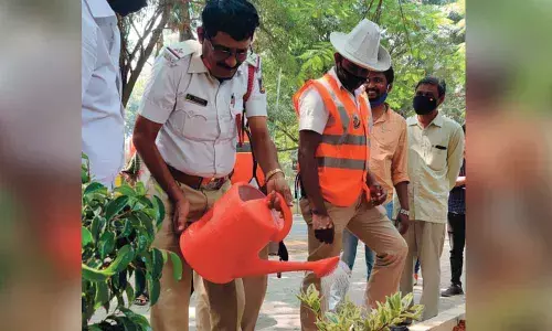 Plantation drive marks World Cities Day week