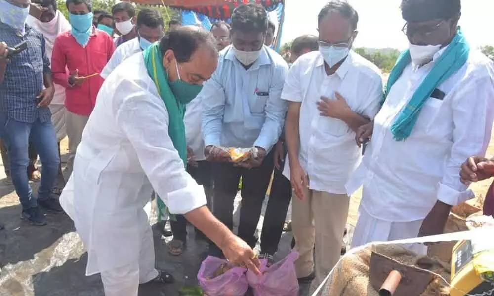 Forest and Endowments Minister A Indrakaran Reddy performing puja before inaugurating paddy procurement centre at Kotta Sangvi village on Sunday