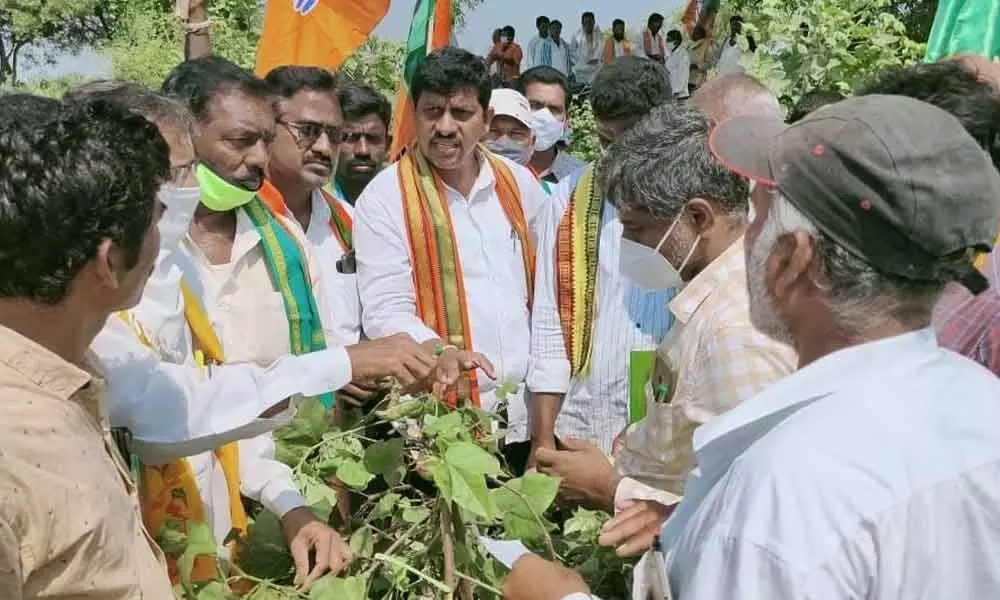 BJP district chief Galla Satyanarayana along with the leaders inspecting damaged crops in Mustikuntla village on Sunday