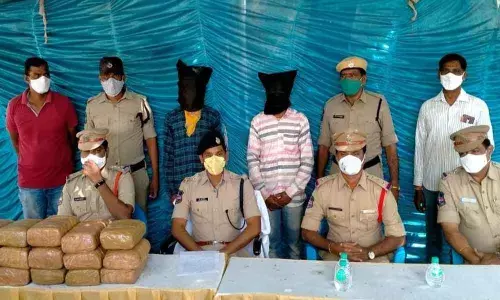 Police producing two peddlers and seized ganja before the media in Mulugu on Sunday