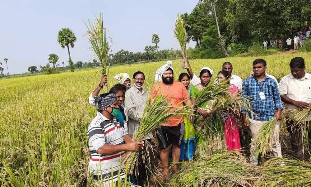 Andhra Pradesh Government keen to make farming profitable profession: MLA Jakkampudi Raja