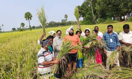 Andhra Pradesh Government keen to make farming profitable profession: MLA Jakkampudi Raja