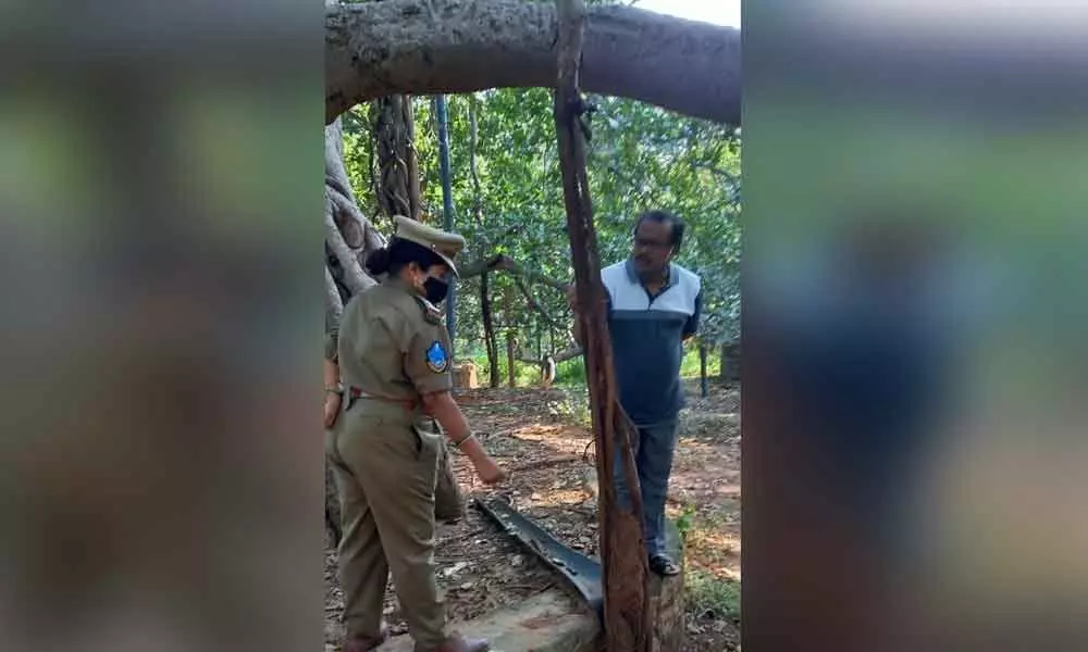 District Collector S Venkat Rao inspecting the renovation of Pillala Marri tree in Mahabubnagar