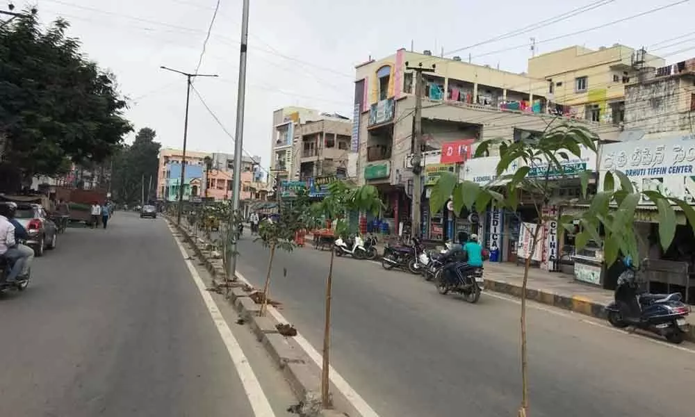 As part of Haritha Haram, Kukatpally roads getting facelift