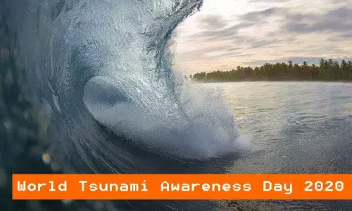 World Tsunami Awareness Day 2020