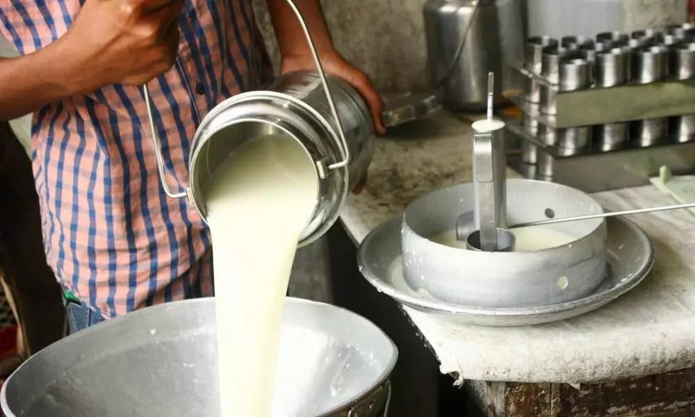 Vijaya Dairy enhances milk purchase prices