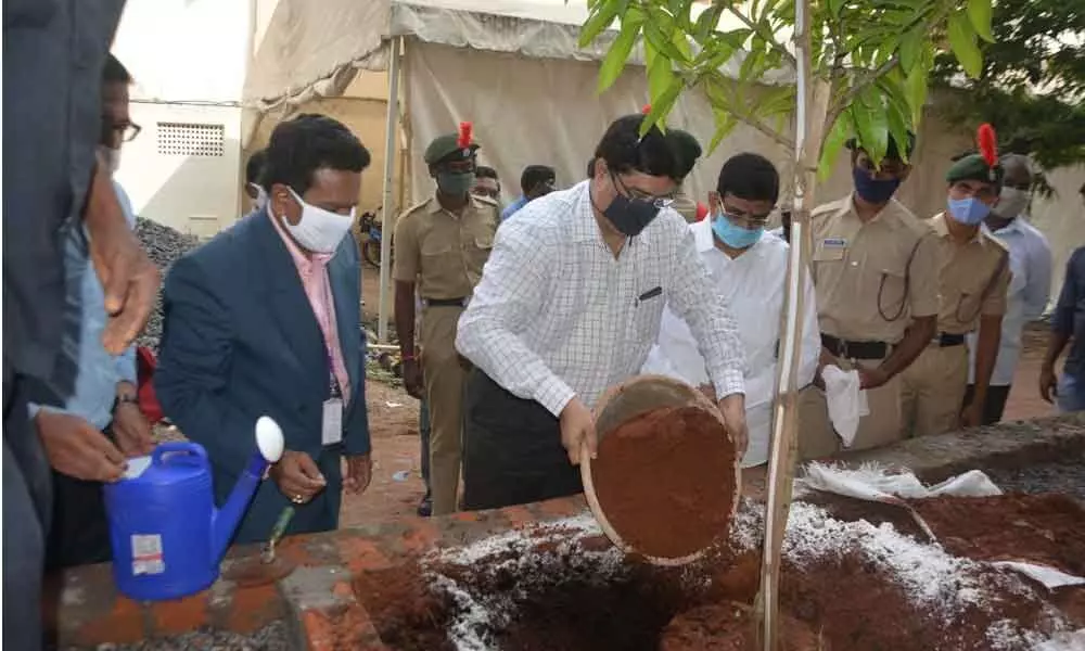 Prof K Hemachandra Reddy, chairman of Andhra Pradesh State Council for Higher Education, planting a sapling at KBN College in Vijayawada on Friday