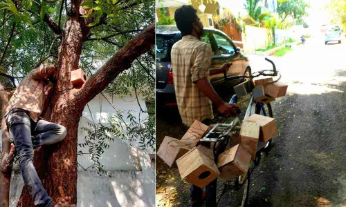 A colony in Sainikpuri that cares for Birds
