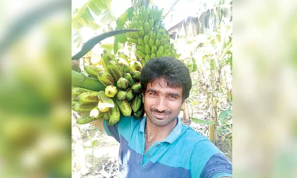 Devarapalli HariKrishna, a software engineer-turned-organic farmer in Kothagudem district
