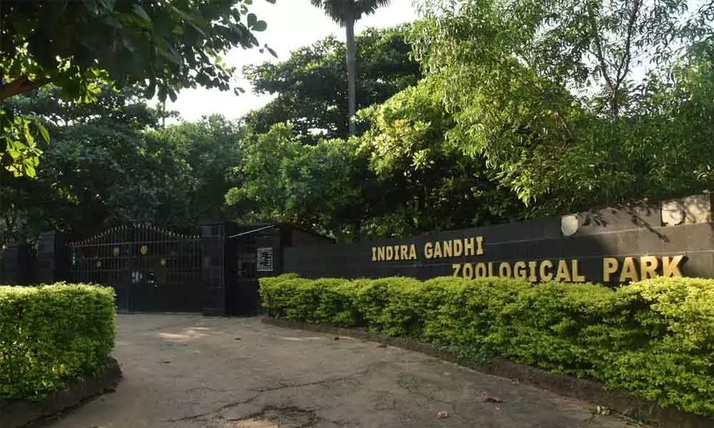 Indira Gandhi Zoological Park