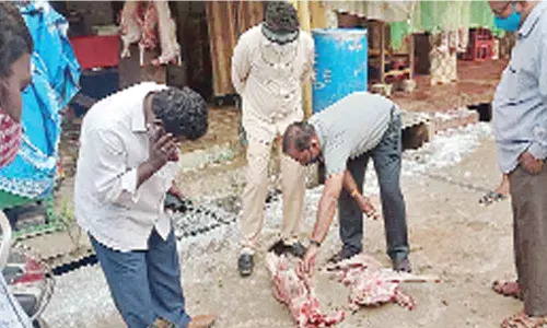 VMC staff checking the quality of meat near Gollapalem Gattu in Vijayawada  on Sunday
