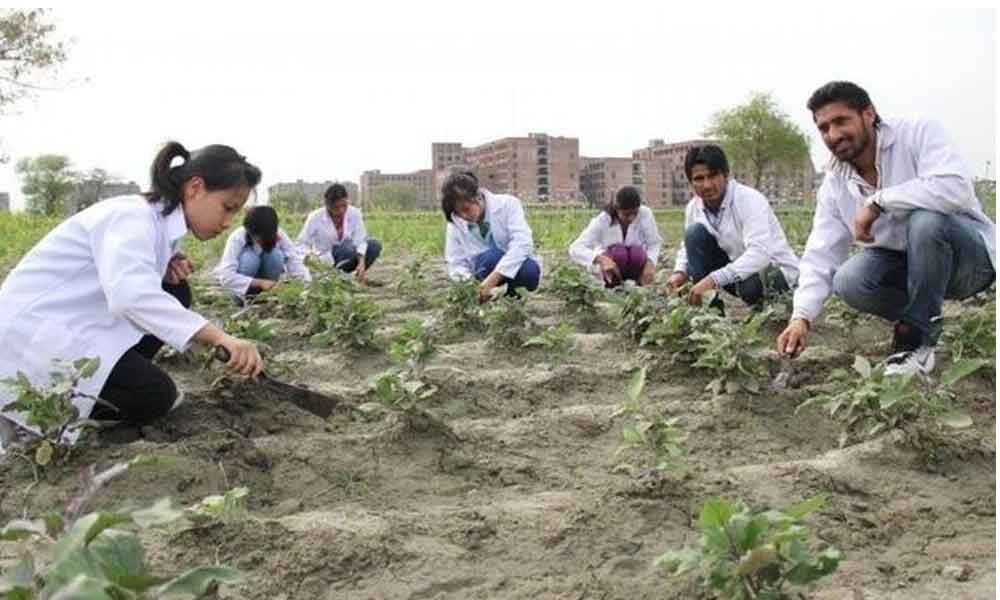 Hyderabad : Agriculture courses by private colleges under cloud