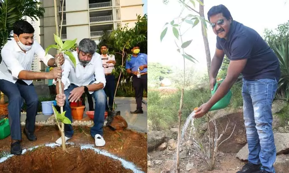 Jagapathi Babu, Sunil become green warriors