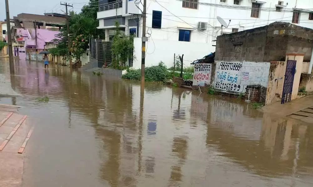 A locality completely inundated in Nellore due to heavy rain on Sunday morning