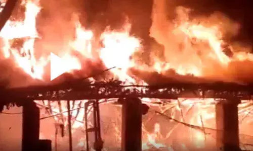 Diwali celebrations turn tragic in Pithapuram as poultry farm catches fire, 1200 chickens died