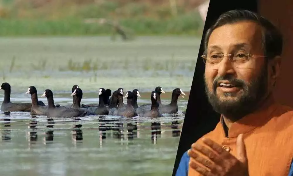 Two more lakes of India included in wetland areas, Prakash Javadekar tweeted information