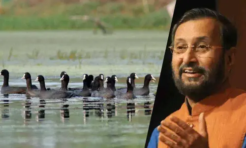 Two more lakes of India included in wetland areas, Prakash Javadekar tweeted information