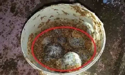 The bomb blast in Chennampalle village in Avuku mandal of Kurnool district