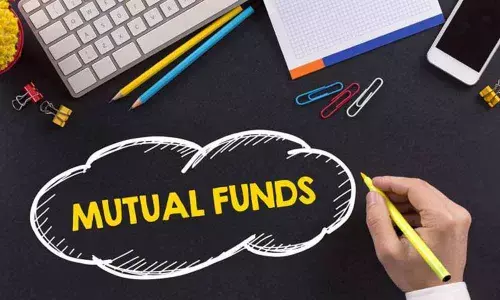 Mutual Funds Favour Asian Paints, Vishal Mega Mart in June; ICICI Bank, Infosys Trimmed.