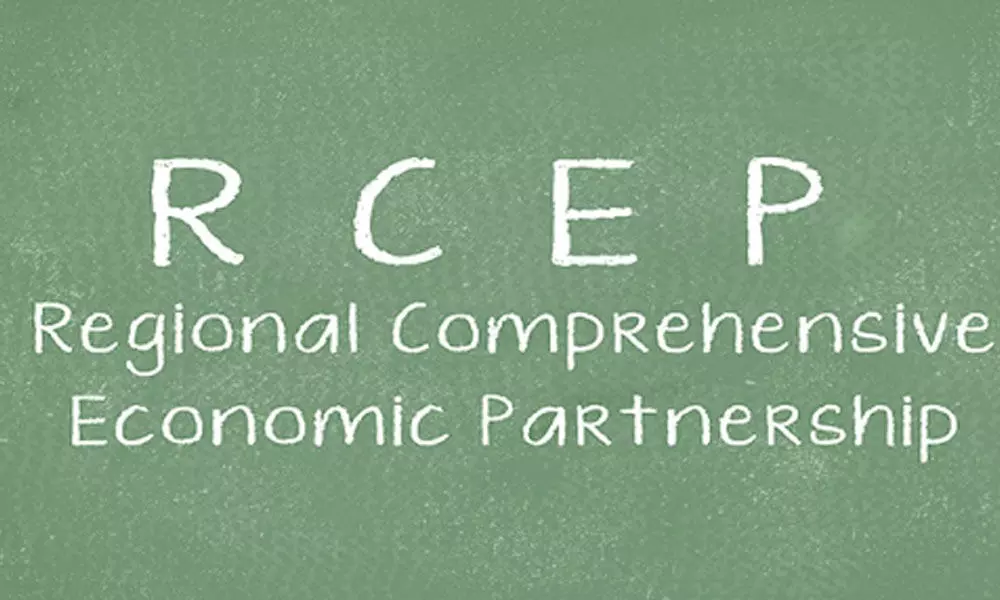 Impact of RCEP and Indian market