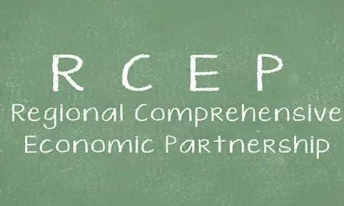 Impact of RCEP and Indian market