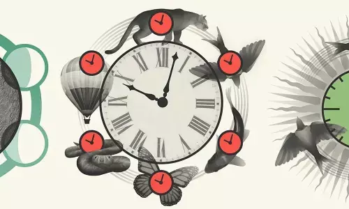 Time as a constituent of Nature