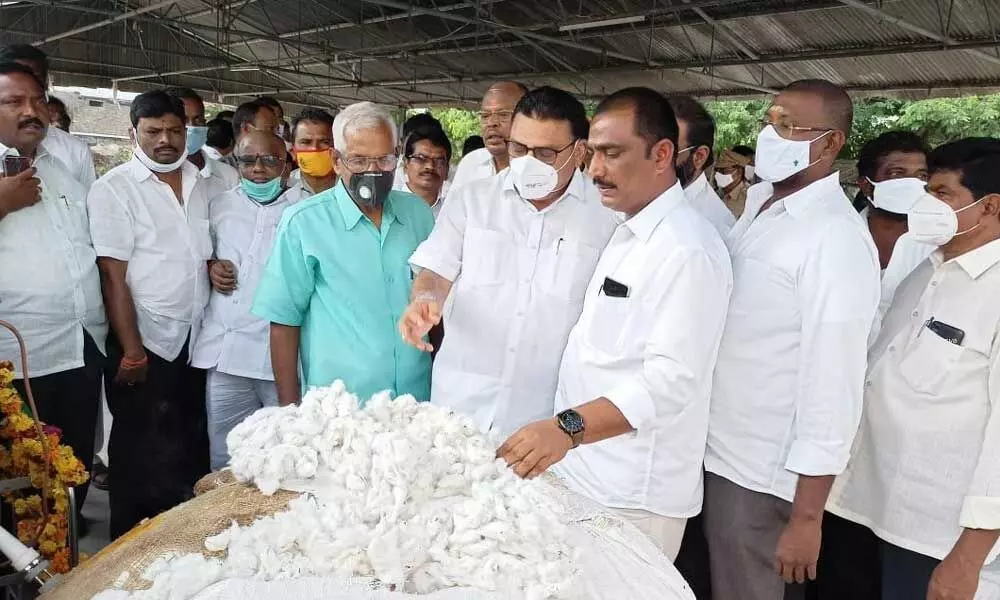 MLA Ambati Rambabu inaugurating cotton purchase centre