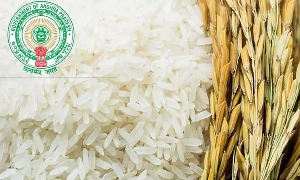 Andhra Pradesh govt to distribute quality rice at doorsteps from January 2021